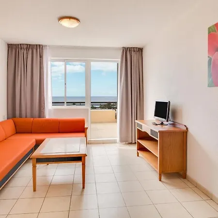 Palm Garden In Front Of The Lejlighed Morro Jable (Fuerteventura)