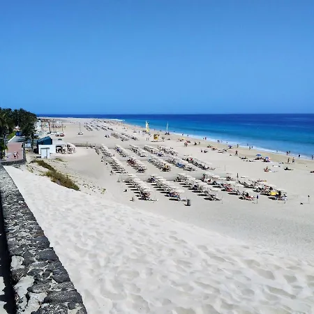Palm Garden In Front Of The Lejlighed