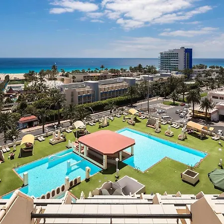 Palm Garden In Front Of The Apartman