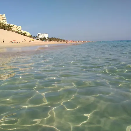 Palm Garden In Front Of The Apartman *