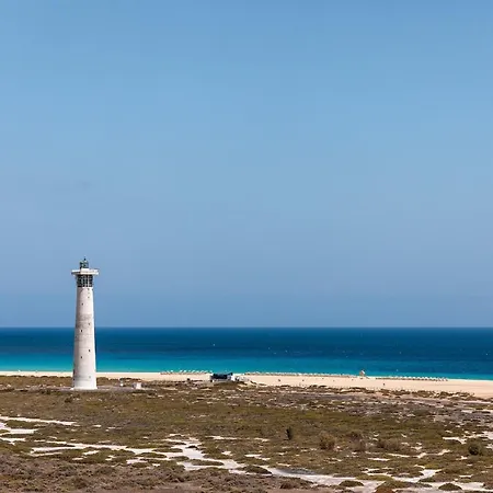 Palm Garden In Front Of The Morro Jable (Fuerteventura)
