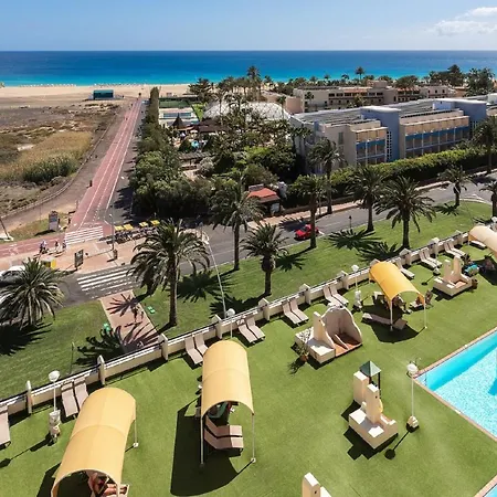 Palm Garden In Front Of The