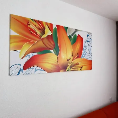 Palm Garden In Front Of The Lejlighed Morro Jable (Fuerteventura)