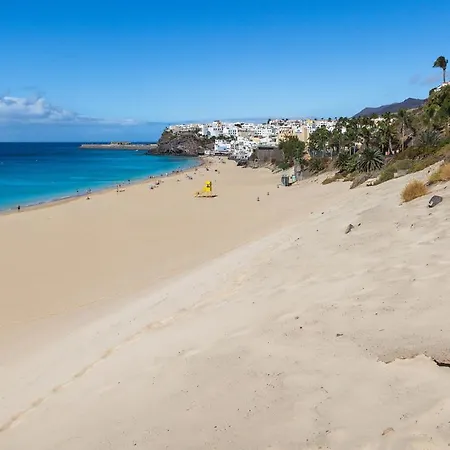 Palm Garden In Front Of The * Morro Jable (Fuerteventura)
