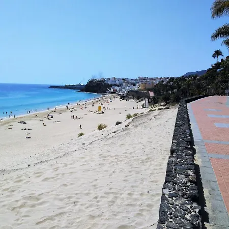 Palm Garden In Front Of The Lejlighed Morro Jable (Fuerteventura)