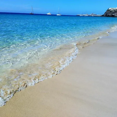 Palm Garden In Front Of The * Morro Jable (Fuerteventura)