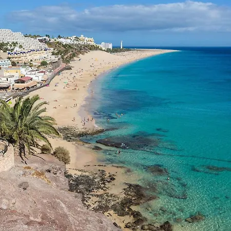 Palm Garden In Front Of The Apartman