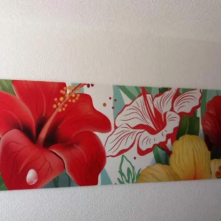 Apartamento Palm Garden In Front Of The *