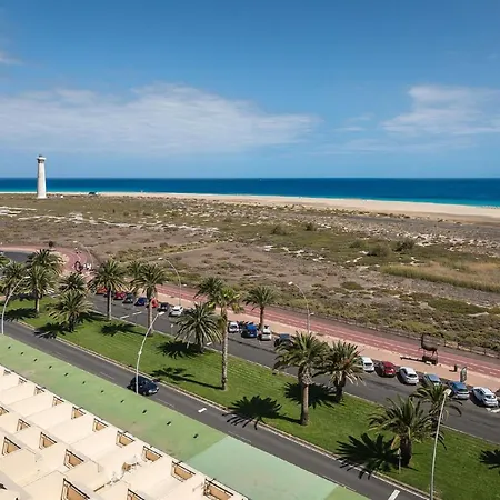 Palm Garden In Front Of The * Morro Jable (Fuerteventura)