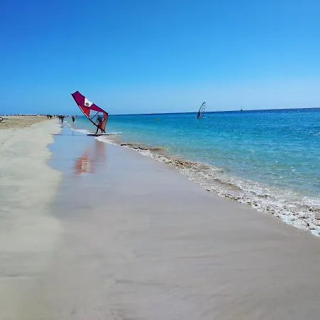 Apartamento Palm Garden In Front Of The *