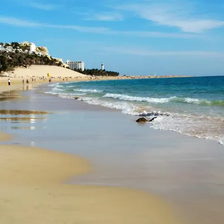 Palm Garden In Front Of The * Morro Jable (Fuerteventura)
