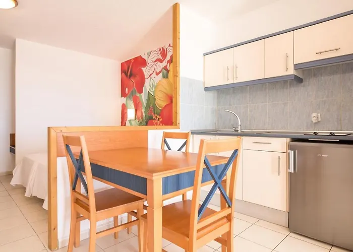 Palm Garden In Front Of The