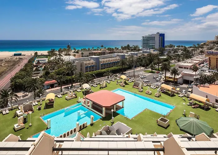 Palm Garden In Front Of The 아파트