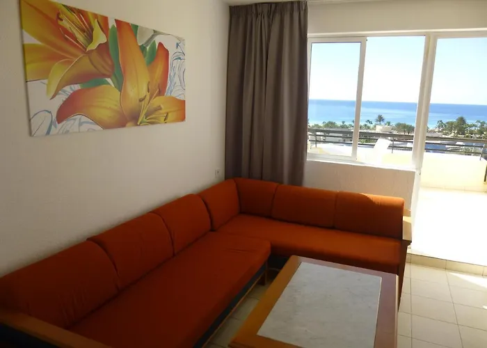 Palm Garden In Front Of The * 모로델제블