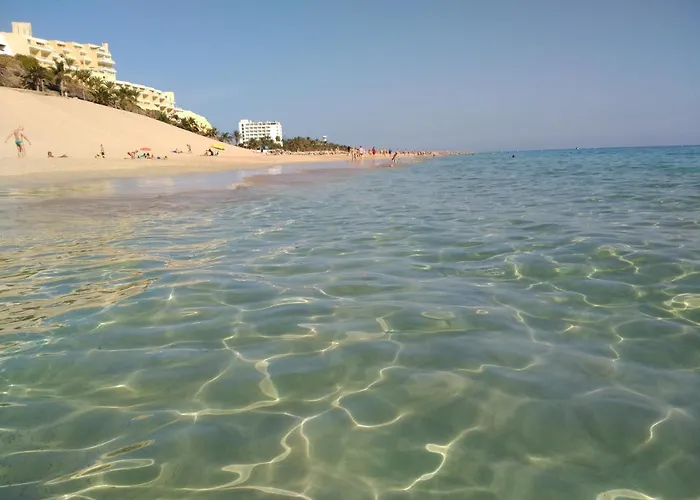 Palm Garden In Front Of The 아파트 *