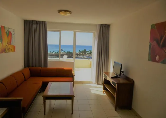 Palm Garden In Front Of The 모로델제블