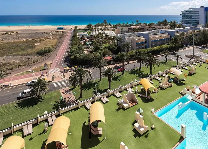 Palm Garden In Front Of The