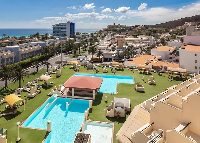 Palm Garden In Front Of The