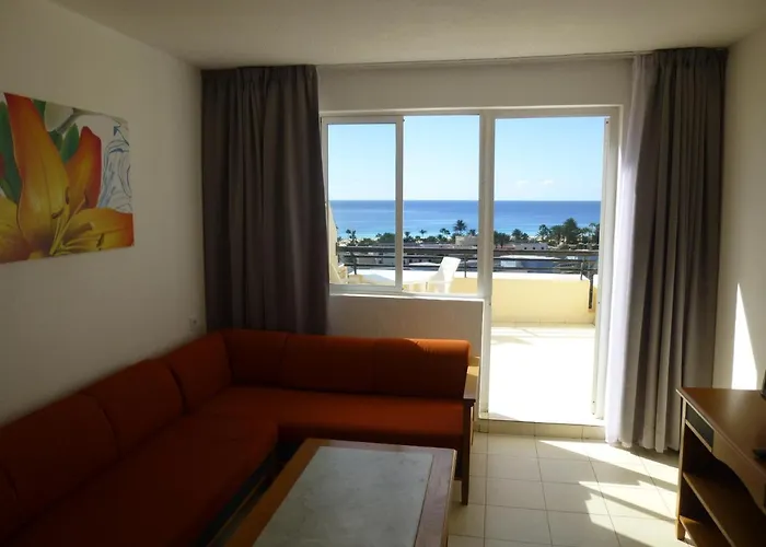 Palm Garden In Front Of The * 모로델제블