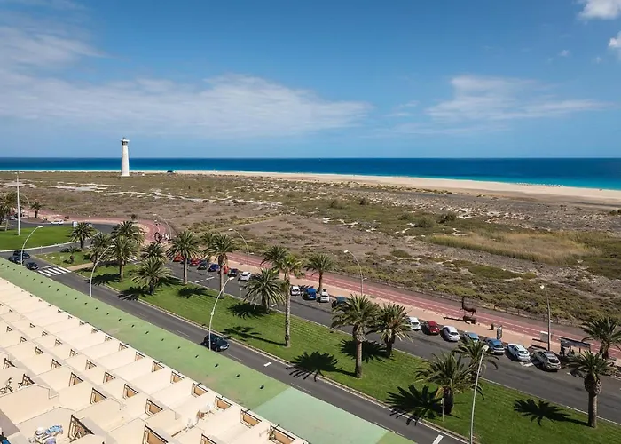Palm Garden In Front Of The * 모로델제블