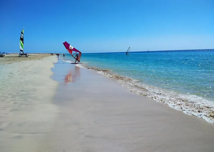 아파트 Palm Garden In Front Of The *