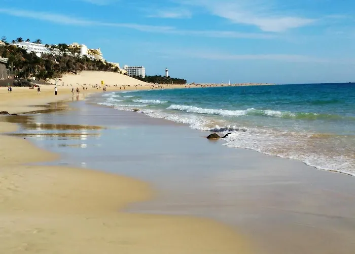 Palm Garden In Front Of The * 모로델제블