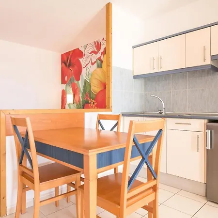 Palm Garden In Front Of The