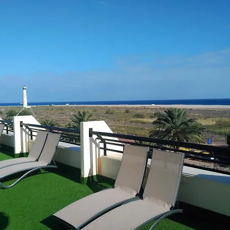 Palm Garden In Front Of The Appartement