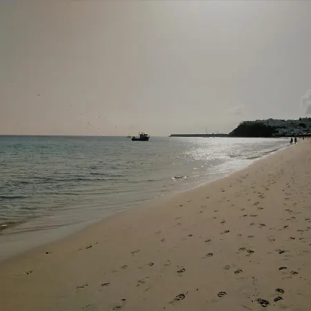 Palm Garden In Front Of The