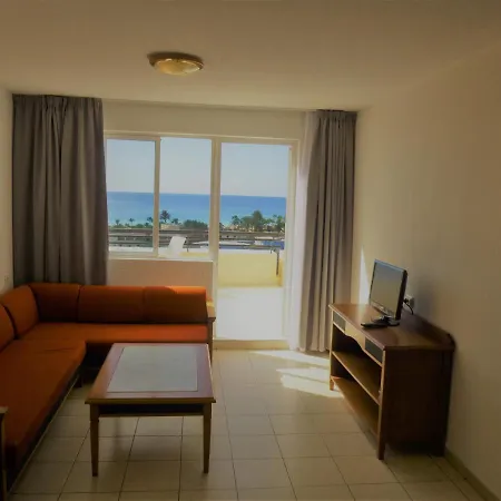 Palm Garden In Front Of The モロ・デル・ハブレ