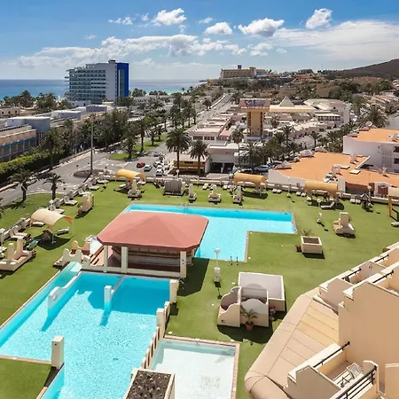 Palm Garden In Front Of The