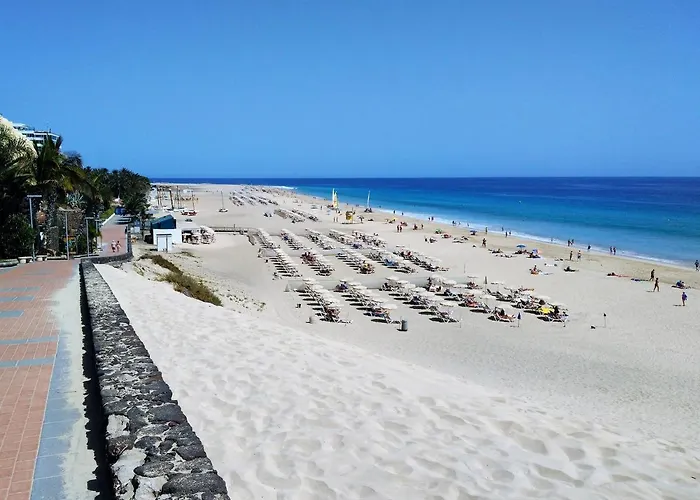 Palm Garden In Front Of The Apartment