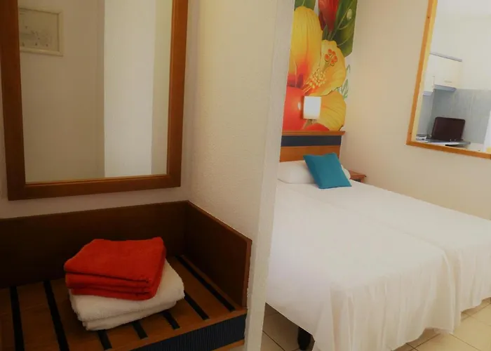 Palm Garden In Front Of The Apartment *