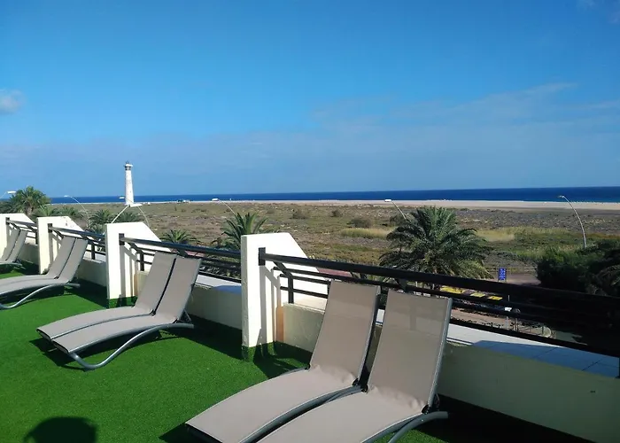 Palm Garden In Front Of The Apartment