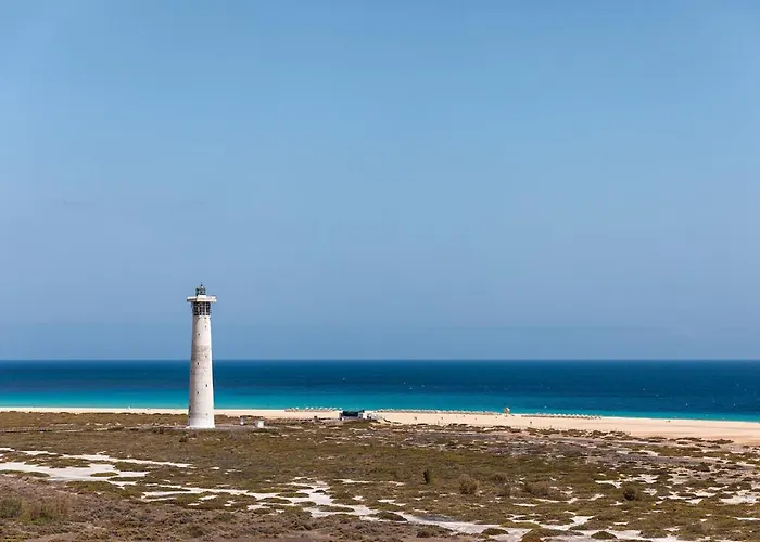 Palm Garden In Front Of The Morro Jable (Fuerteventura)