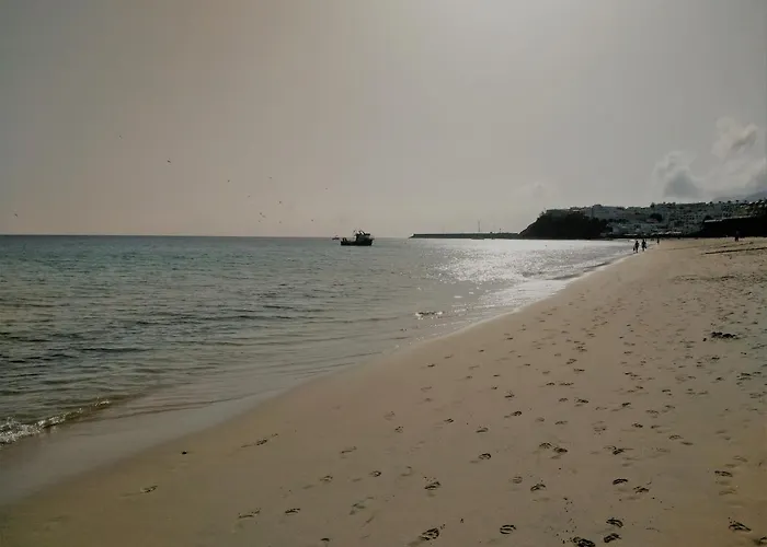 Palm Garden In Front Of The