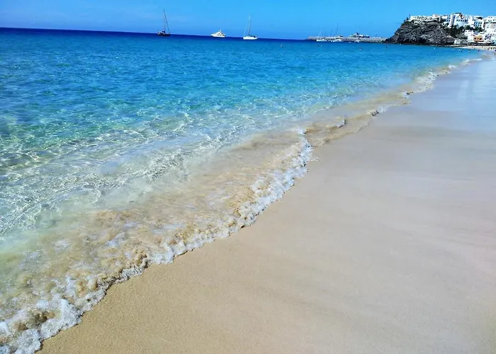 Palm Garden In Front Of The * Morro Jable (Fuerteventura)