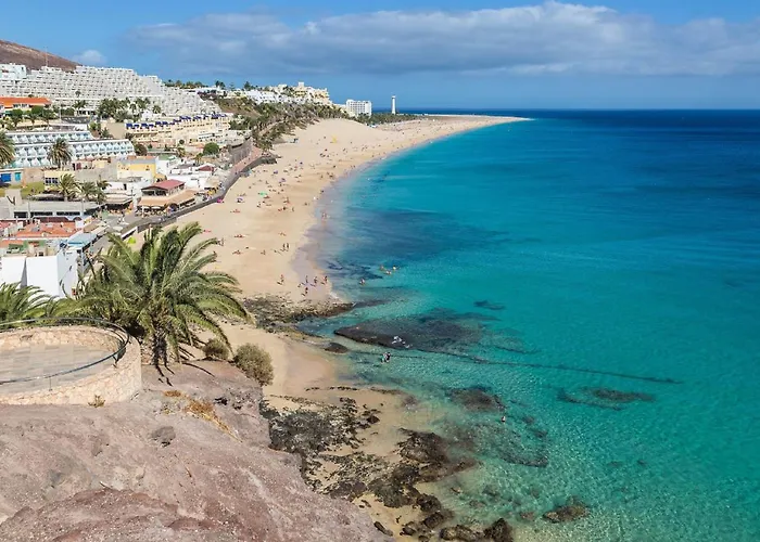 Palm Garden In Front Of The Apartment